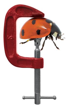 Plan PiS zakłada przykręcenie śruby Biedronce.