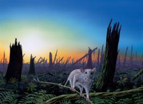 Gdy około 35 mln lat temu anagalidy wymierały, Ziemię ogarniały już kolejne fale radiacji ssaków. W ich grupach pojawiły się rozmaite innowacje, które wreszcie pozwoliły im pokazać swe możliwości i rozwinąć niebywałą różnorodność.