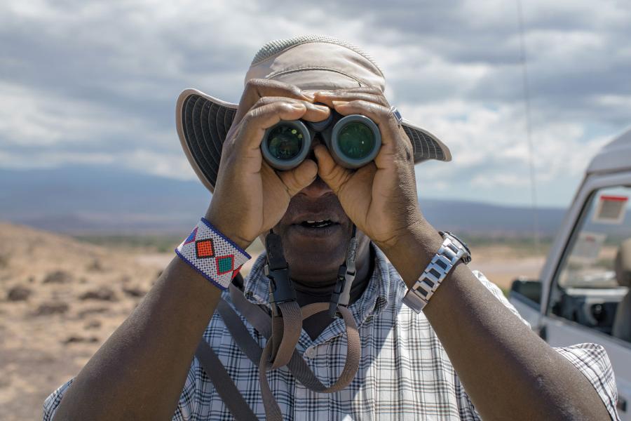 Kierownik projektu, Raphael Mututua, wypatruje pawianów, które będzie tego dnia badać.