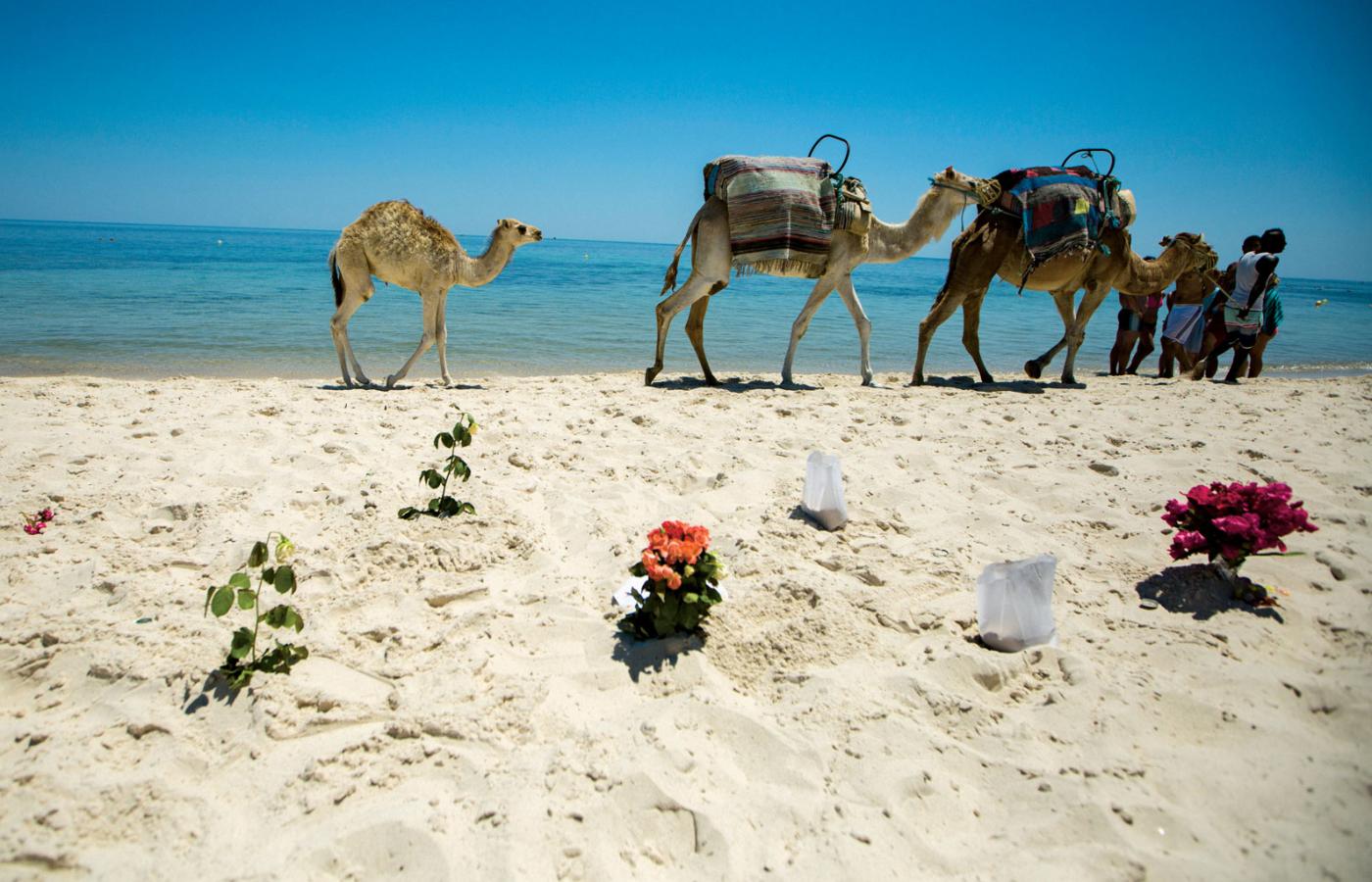 Dwa ataki w trzy miesiące to ciosy mające osłabić tunezyjską turystykę.