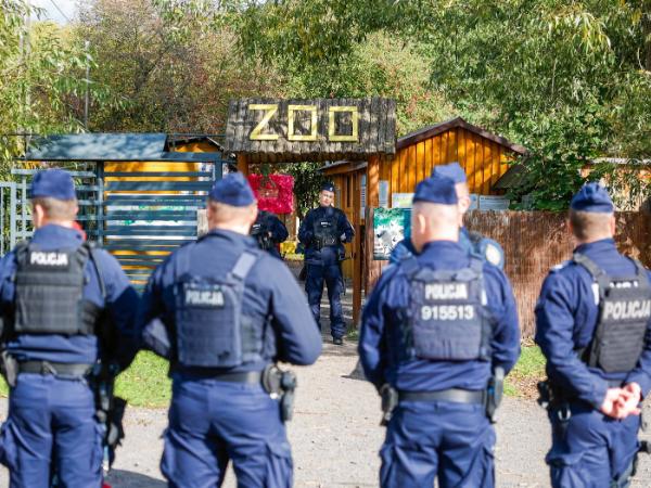 Śledztwo w sprawie mini ZOO w Łącznej – działania Policji i Prokuratury
