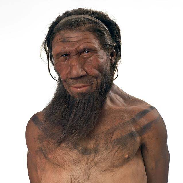 Pulsar - wyjątkowy portal naukowy.