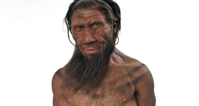 Pulsar - wyjątkowy portal naukowy.