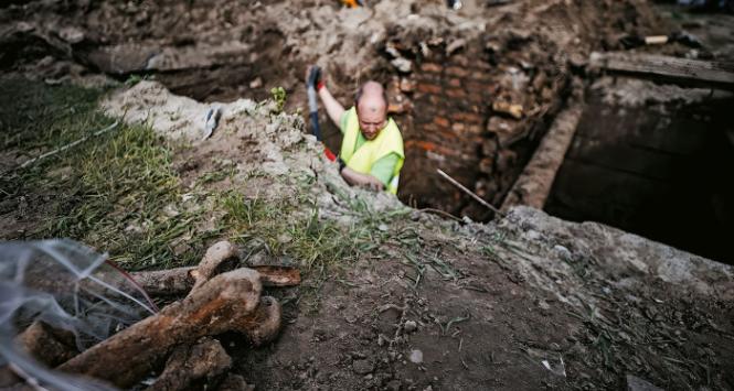 „Łączka” na warszawskich Powązkach. Spośród wydobytych tu szczątków 200 osób zidentyfikowano 80 ofiar stalinizmu.