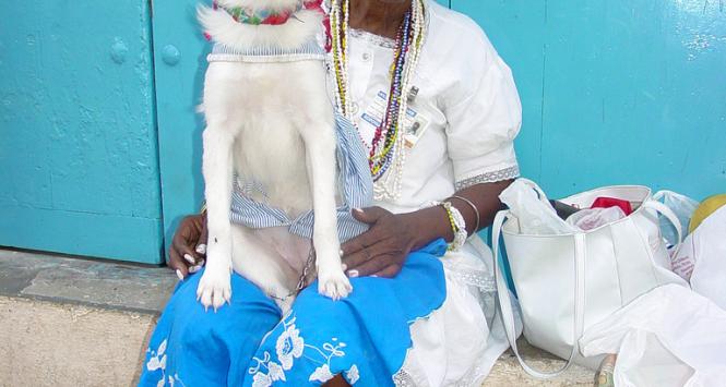 Kubańska kobieta z psem i cygarem
