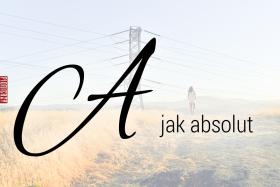 A jak absolut, do absolutu dążenie, absolutów poszukiwanieDaniel Dennett tym między innymi różni się od wielu innych filozofów, iż jak ognia unika absolutów. Ludzka skłonność do absolutyzowania jest naturalna i instynktowna, wynika bowiem z obaw typowych dla naszego gatunku. – Gdy ludzie chcą ochronić coś, co kochają, uznają, że jedynym na to sposobem jest uczynienie tej rzeczy absolutną – mówi Dennett. – Tymczasem ani nie mogą być odpowiedzialni za swoje czyny w sposób absolutny, ani nie mogą być absolutnie altruistyczni. Nie mogą być nawet absolutnie świadomi. Pogląd taki, ta wrodzona niechęć do wszelkiego co a priori, nie wynika z subiektywnego widzimisię filozofa, a z postawy naturalistycznej – przedkładania twardych danych doświadczalnych ponad mniemania.