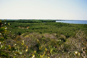 Krajobraz wyspy Jaina w Meksyku nie zmienił się znacząco od 1500 lat, kiedy zamieszkiwali ją Majowie. Teren wyspy został objęty rezerwatem archeologicznym. Można się tam wybrać dopiero po uzyskaniu przepustki.