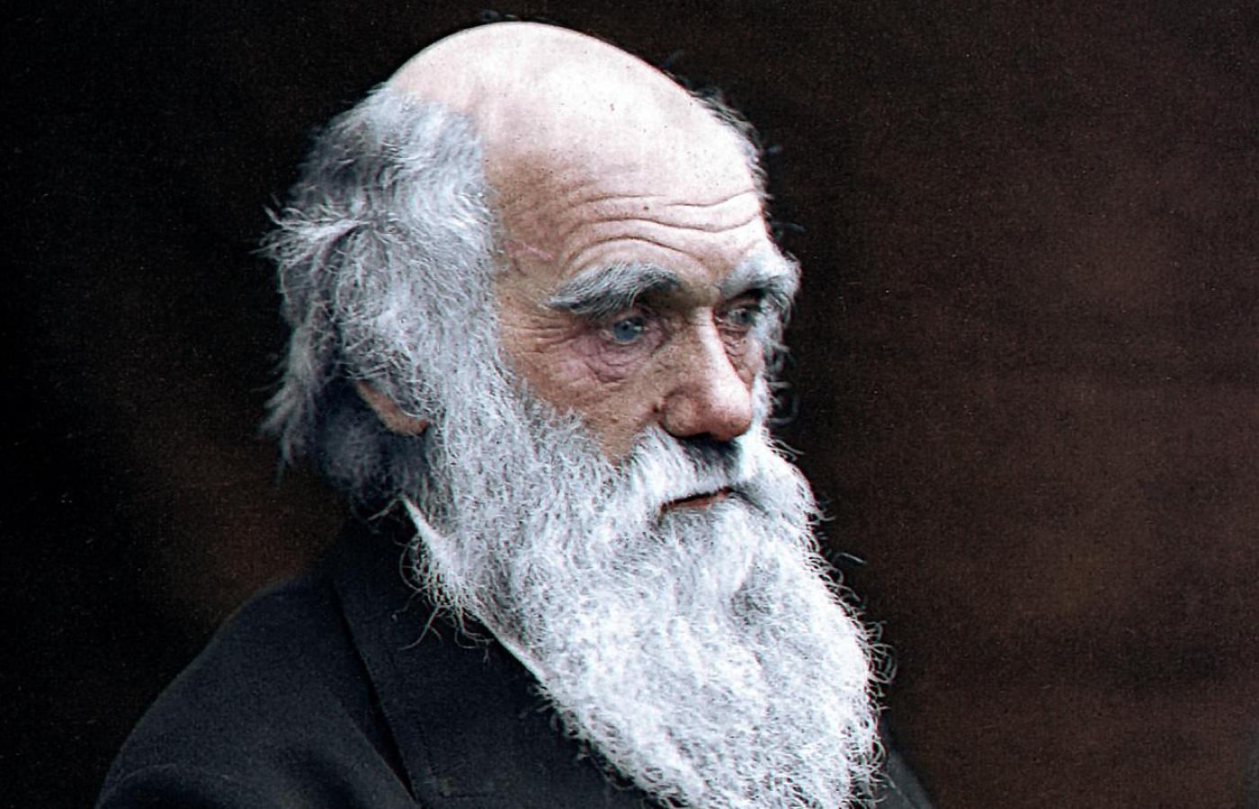 Co może mieć wspólnego Karol Darwin z wspłczesnym feminizmem?