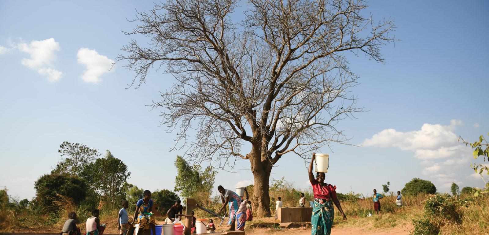 Mieszkańcy wioski Bwabwa w północnym Malawi dzielą się nasionami, wiedzą na temat upraw oraz wspólnie pracują przy zbiorach i przygotowywaniu żywności.