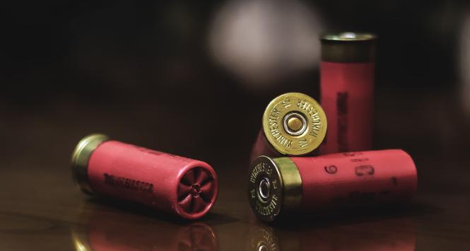 Dr Anne Nassauer przyjrzała się dokładnie 83 strzelaninom szkolnym w USA z lat 1966–2024, w których sprawcami byli obecni lub byli uczniowie/studenci danej placówki edukacyjnej.