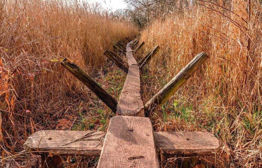 Rekonstrukcja Sweet Track, najstarszej drogi świata wybudowanej na bagnach Somerset w epoce brązu w początkach IV tys. p.n.e.