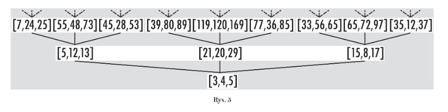 Rys. 5