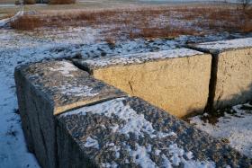 Mur pomnika pamięci po pogromie antyżydowskim.